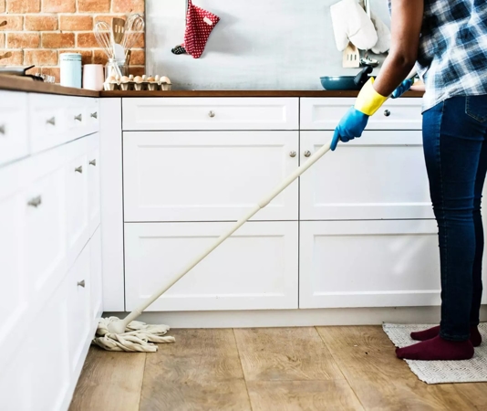 Spring Pest Control Tips Rocklin Pest Control